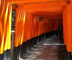 Anastasia Padoan CartOrange - Viaggio di nozze in Giappone a Kyoto