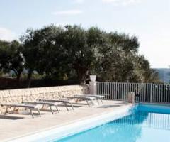 Ampia piscina immersa nel verde presso l'Agriturismo Borgo Alveria