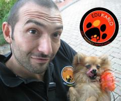 JMD Professionisti al vostro servizio