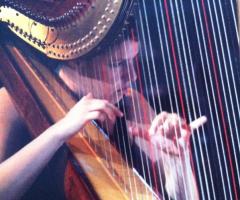 Elena Biasi Arpista - Musica per matrimoni a Reggio Emilia