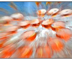 Foto del cocktail di benvenuto al ricevimento