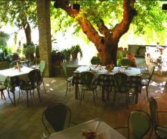 Giardino interno Ristorante il Bacio