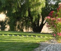 Gli spazi verdi e curati della Masseria Acque di Palermo