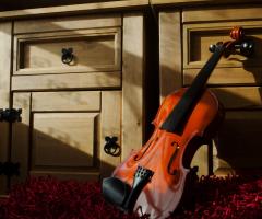 Violinista Milano Dreams - La musica per il matrimonio a Milano