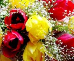 Bouquet di tulipani e gipsofila