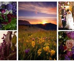Matrimonio a tema lavanda realizzato da Verdi Voglie