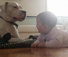 Drago e la mia bimba  Zoe - Dog Sitter Milano
