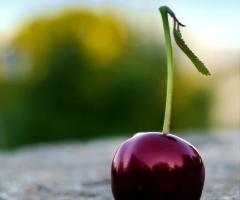 Alternalab - Foto sul dettaglio