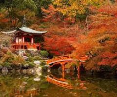 Silvia Mastrangelo - Viaggio di nozze in Giappone