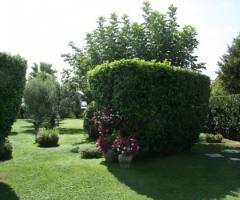 Giardino del ristorante per matrimoni