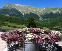 Viaggio id nozze in montagna