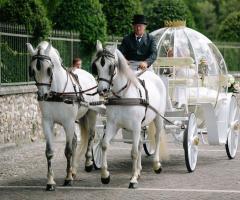 Carrozza - Eventi e Momenti