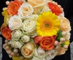 Sesto Verde di Bruni Riccardo - Bouquet