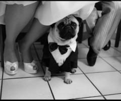 Roberto Marchionne - Servizi fotografici per matrimoni a Roma