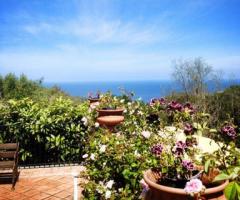 vista panoramica dalla terrazza