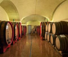 Castel di Pugna - La barriccaia dell'azienda