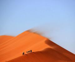 Ameria Viaggi di Renghi Barbara