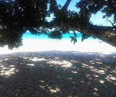 Speciale quota viaggio di nozze! Cng Travel - Portiamo a destinazione i vostri sogni!