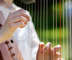 La musica è molto importante per la riuscita dell'evento