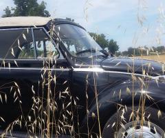 Riccardo Camela Noleggio - Tra le spighe di grano