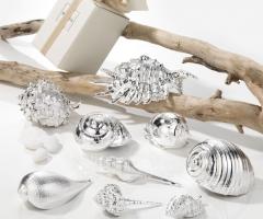 Linea Gioielli del Mare - Conchiglie naturali e Argento 999