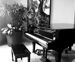 Robert Organista Professionista