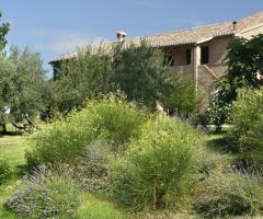 Agriturismo Ripabianca