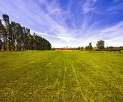 Vista della distesa di verde davanti alla location