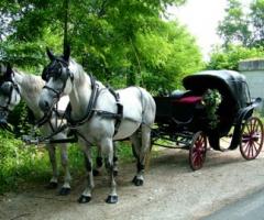 Carrozza con cavalli per l'arrivo degli sposi