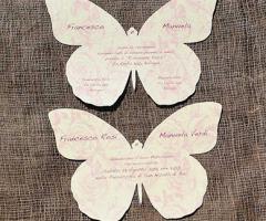 partecipazione farfalle