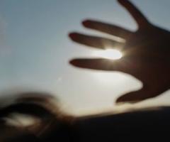 Fulvio Greco Films - Dettagli