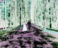 Effetti colore - Photo Bloom di Elisa Sisi