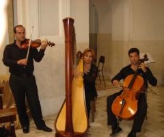 Arpa, violino e violoncello - Armonia F.lli Siano