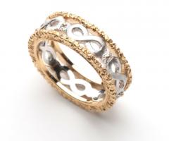 Fedina Infinity di Ivan Barbato