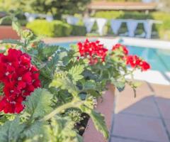 Fiori - Villa Bonadea