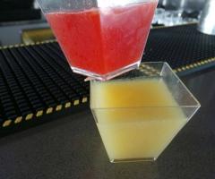 Gelatine alcoliche e analcoliche