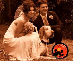 JMD Professionisti al vostro servizio