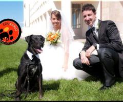 JMD Professionisti al vostro servizio