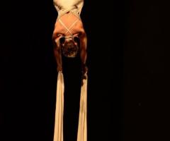 Officina delle Arti - Spettacoli di danza aerea per matrimoni