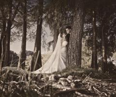 Direzione Ostinata - Come in una favola