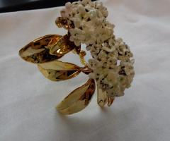 Viburno dorato e smaltato, fiorisce a Maggio, mese preferenziale per i matrimoni, nel linguaggio dei fiori trasmette una richiesta di attenzioni e amore.- T.g.t. snc