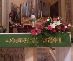 Matrimonio Gerbere Fuxia