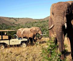 Groove Travel - Il Sud Africa