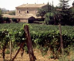 Mandrascate, masseria per matrimoni e ricevimenti a Valguarnera (Enna)