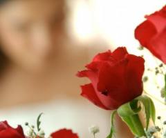 Joe Faro Fotografo - Rose in primo piano