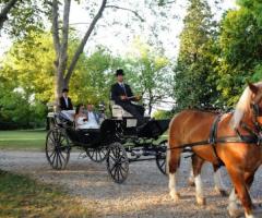 Foto Video CineMania - La carrozza