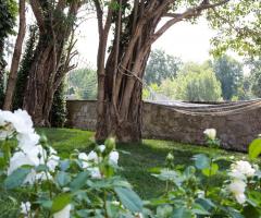 Hotel Ville sull'Arno - Giardino