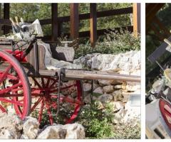 Suite 801 - Carretto tipico pugliese