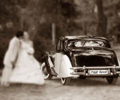 La Jaguar e gli sposi