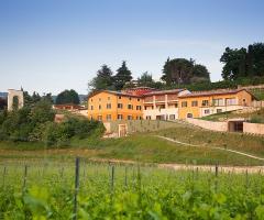 I vigneti del relais